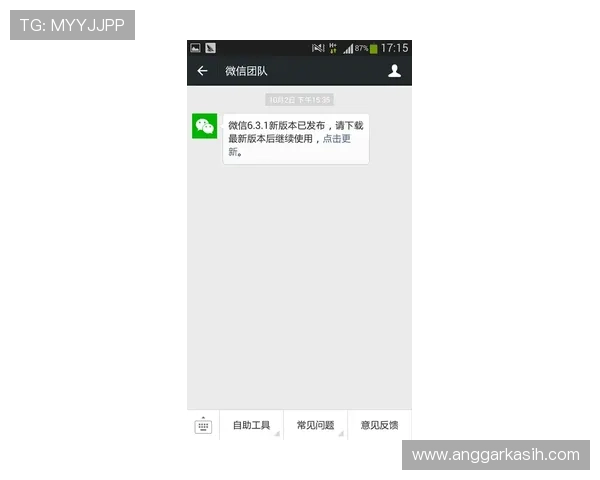 半岛体育官方网站入口用户反馈与客服支持渠道全面解读